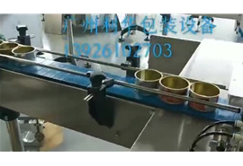 馬口鐵高速伺服封罐機(jī)