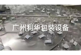 開心果，碧根果，巴達木，罐裝包裝生產(chǎn)線