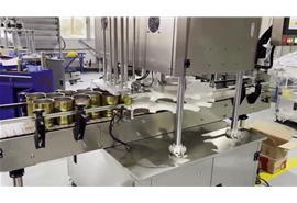 雙頭伺服封罐機(jī)